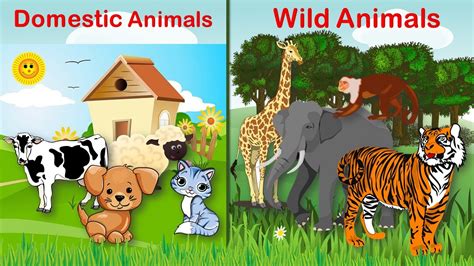 domestic and wild animals